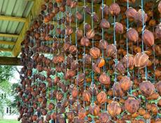 Сушеная хурма