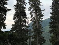 Зем участок 25 соток