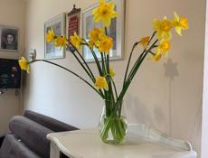 Обменяю дом на квартиру