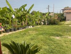 На длительный срок