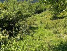 УЧАСТОК БАГРПИШ СРОЧНО 6 СОТОК С ВЕТХИМ СТРОЕНИЕМ