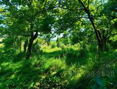 Продажа от собственника, участок 37х45 (16.65 соток) с ветхим строением.