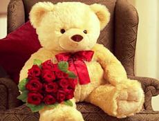 Пойдём на сбор мандаринов!