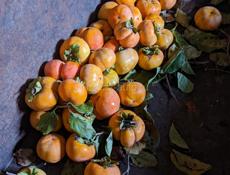 Плоская хурма оптом