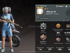 аккаунт в пабге олдовский 