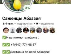 САЖЕНЦЫ