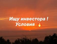 ИЩУ ИНВЕСТОРА .