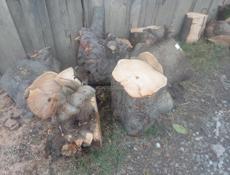 Продаю дрова .