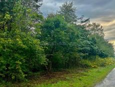 Участок 50 соток