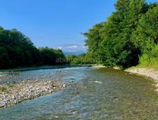 Участок 50 соток