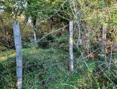 Участок 75 соток с.Лыхны