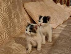 В добрые ручки ❤️Мальчик и девочка 