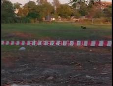 Срочно земельный участок Пицунда