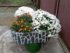 Цветочные вазоны 