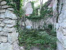 Чанба 50 соток - 6.5мил.