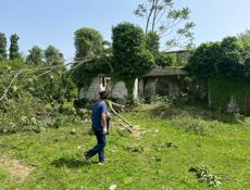 Чанба 50 соток - 6.5мил.