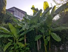 Продажа 2 эт.дома,вид на море ,горы ,25 сот,4млн500