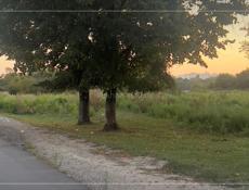 УЧАСТОК ПСОУ У ГРАНИЦЫ СО СТРОЕНИЕМ