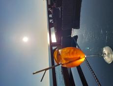 Срочно Бармен по всей Абхазии