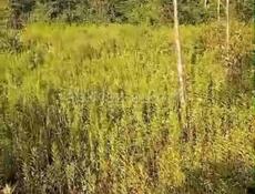 Продается земельный участок Турбаза