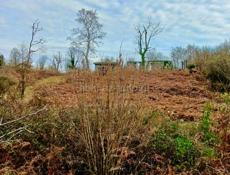 Срочно! Продается участок в Киндги 1,8 Га