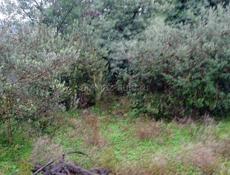 Продаю участок 