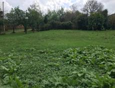 Продаю участок 6 соток