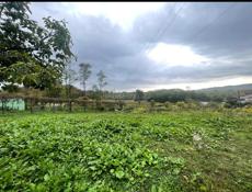 Продаю участок !