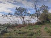 УЧАСТОК ЦАНДРИПШ 2,7 СОТКИ 1 БЕРЕГОВАЯ ЛИНИЯ