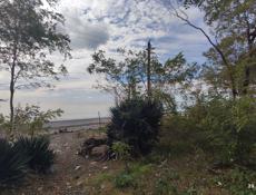 УЧАСТОК ЦАНДРИПШ 2,7 СОТКИ 1 БЕРЕГОВАЯ ЛИНИЯ