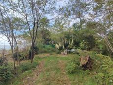 УЧАСТОК ЦАНДРИПШ 2,7 СОТКИ 1 БЕРЕГОВАЯ ЛИНИЯ