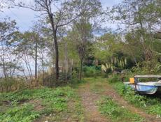 УЧАСТОК ЦАНДРИПШ 2,7 СОТКИ 1 БЕРЕГОВАЯ ЛИНИЯ