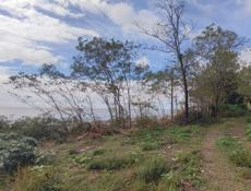 УЧАСТОК ЦАНДРИПШ 2,7 СОТКИ 1 БЕРЕГОВАЯ ЛИНИЯ