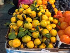 Куплю Мандарины ОПТ