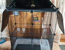 Клетка большая