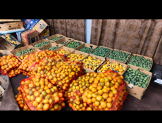 Куплю мандарин с дерева от 20₽ 