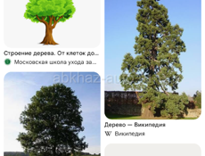 Нужны мастера чтобы поставить блочный забор 