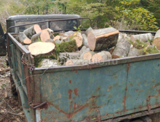 Дрова Ахьаца 25-30 ты связь 9961888