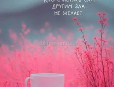 Пойдём на сбор мандаринов!