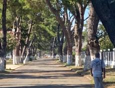 Квартира с видом на море 🌊 🌊 🌊