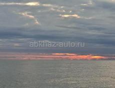 Хурма бычий сердце 