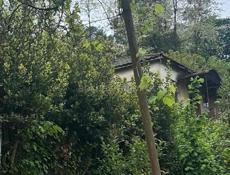 Дом начало Виема напротив питомника довоенная собственность 