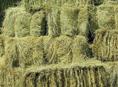 Сено в тюках