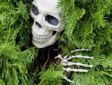 С 8:00 до 12:00 работать, а остальное время присмотр за своей семьёй 