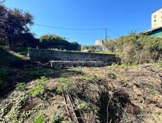 Довоенная собственность ,цена подарок.