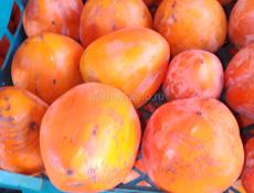 Продается хурма.