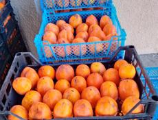 Продается хурма.