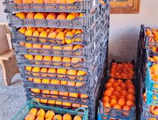 Продается хурма.