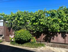 Продается дом жилой