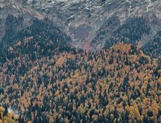 Участок в Цандрипше 